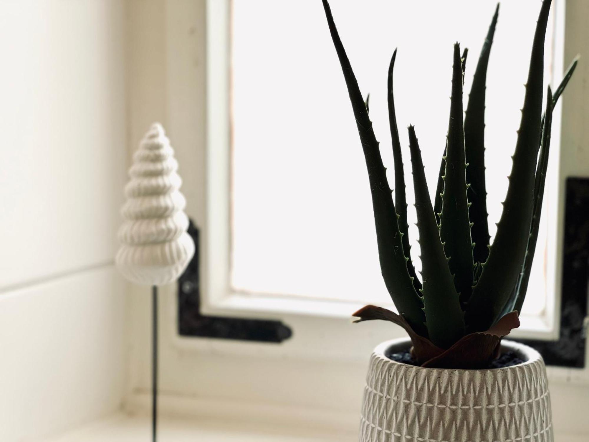 E&K Living - Design Apartments - Netflix - Audi - In Village - Free Parking インゴルシュタット エクステリア 写真